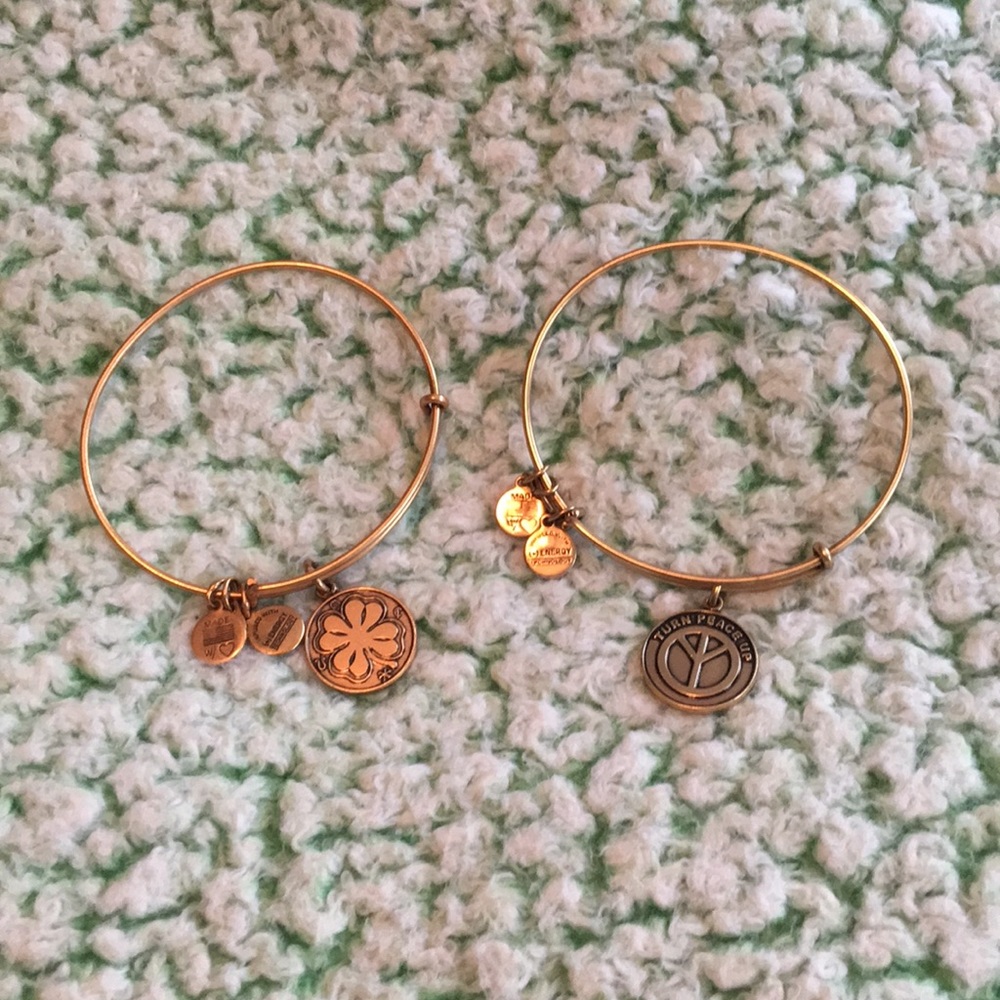 SET OF TWO ALEX AND ANI BRACELETS